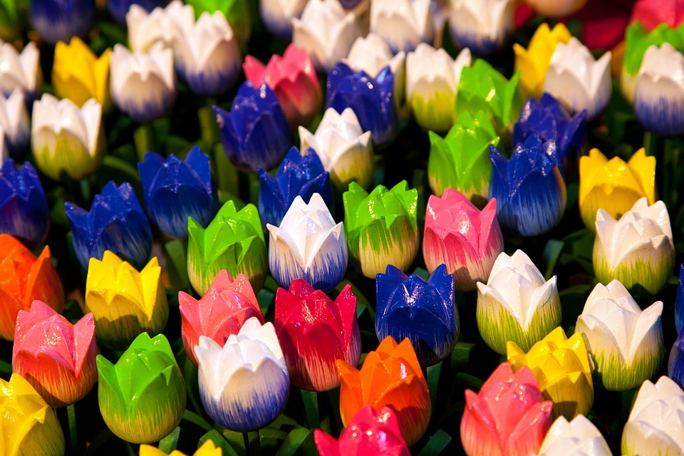 Collection color colored