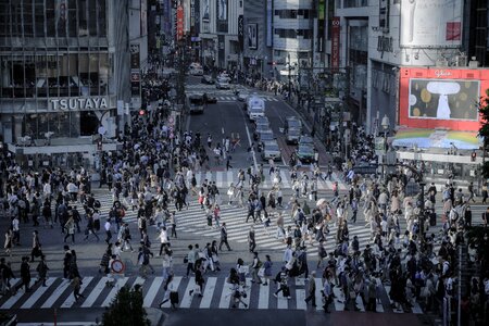 Shibuya scramble crossing photo