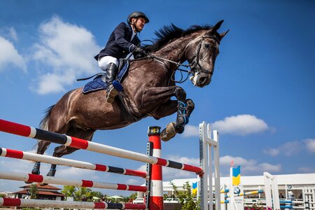 Show jumping equestrianism horse