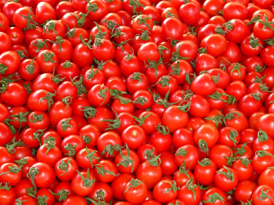 Small tomatos vegetable