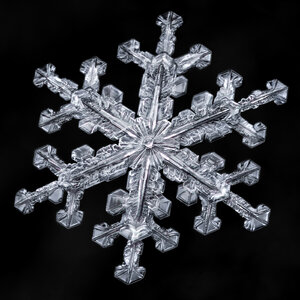 Snowflake ice crystal