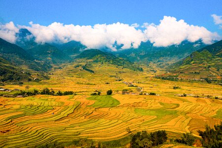 Terraced rice fields photo