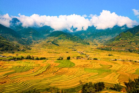 Terraced rice fields