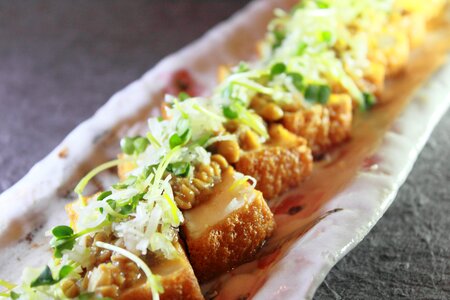 Thick fried tofu