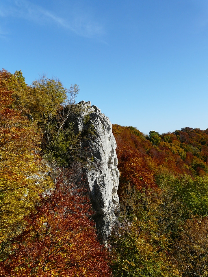 Swabian alb autumn deciduous forest