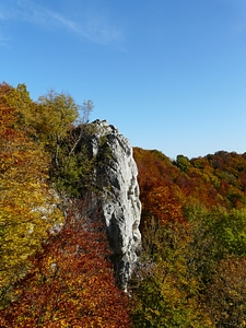 Swabian alb autumn deciduous forest