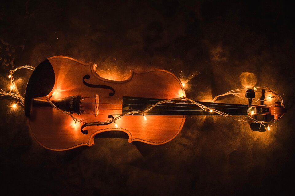 Violin musical instrument