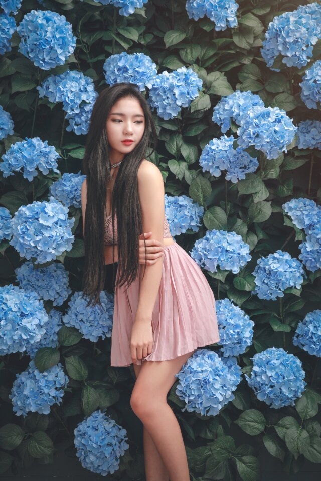 Woman girl portrait hydrangea