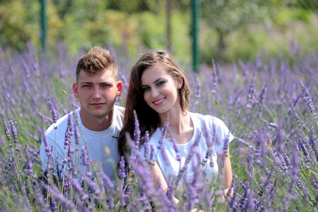 Couple lavender field photo