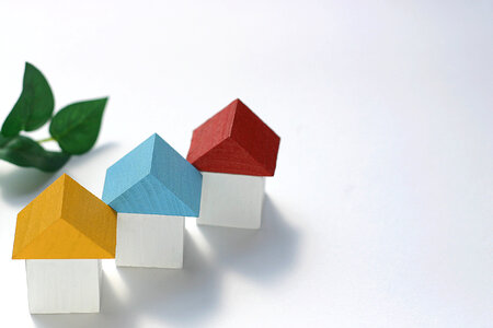 House model
