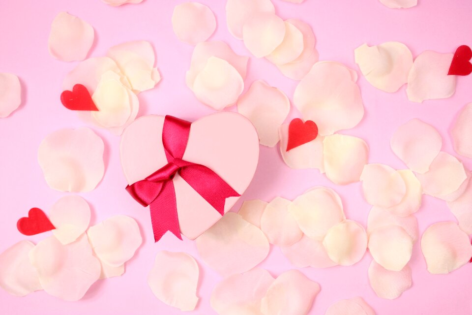 Valentines day gift petal