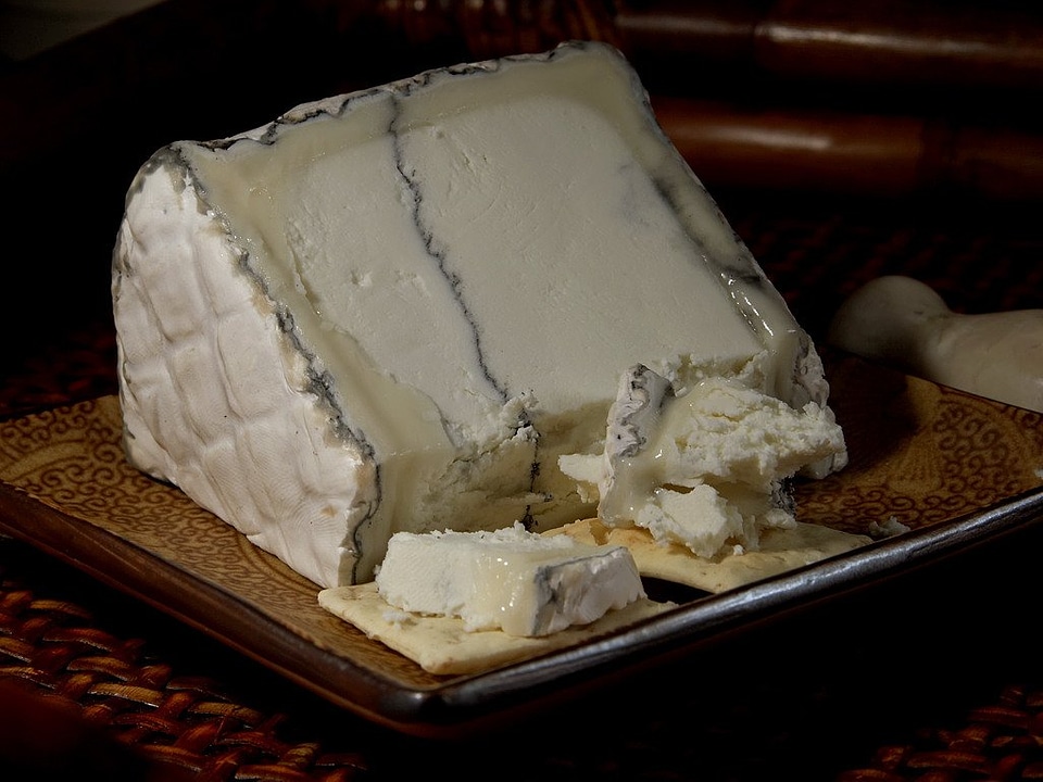 Noble mold milk product food