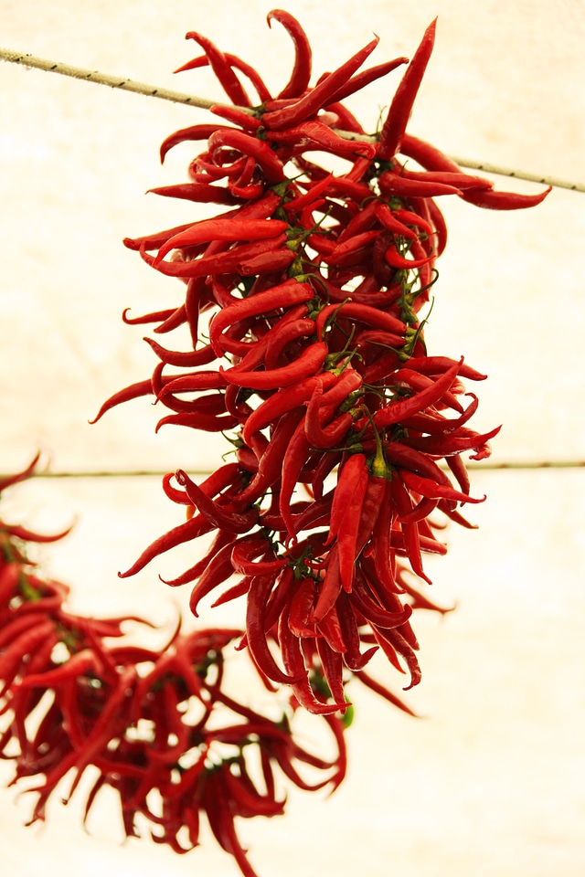 Color cooking dried