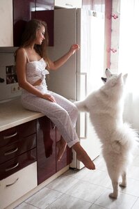 Woman girl samoyed dog