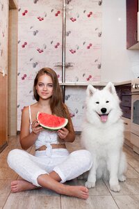 Woman girl samoyed dog
