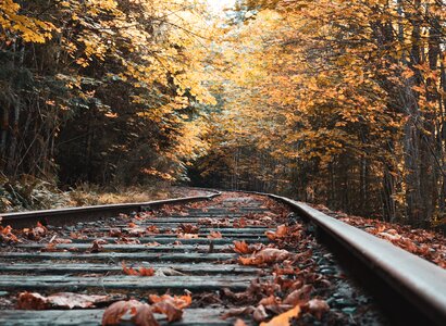 Abandoned railway forest autumn