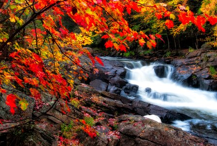 Autumn leaves stream river photo