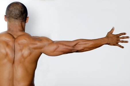 Bodybuilder muscle photo