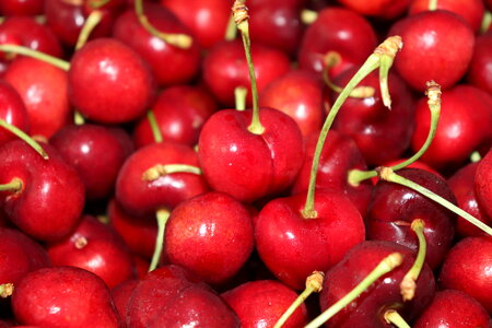 Cherry fruits food