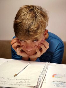 Child boy homework
