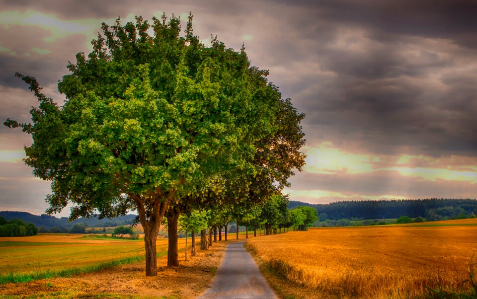 Contryside field road