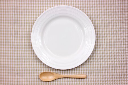 Dish spoon