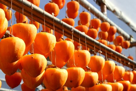 Dried persimmon fruit