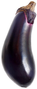 Eggplant vegetable