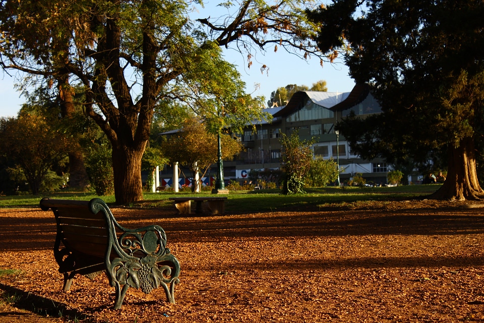 Park garden bench banks
