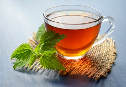 Herb tea drink