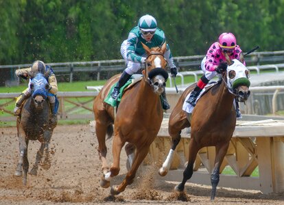 Horse racing jockey photo