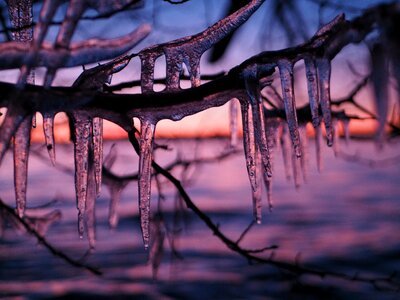 Icicle branch photo