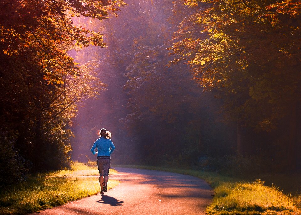 Morning sunbeam jogging