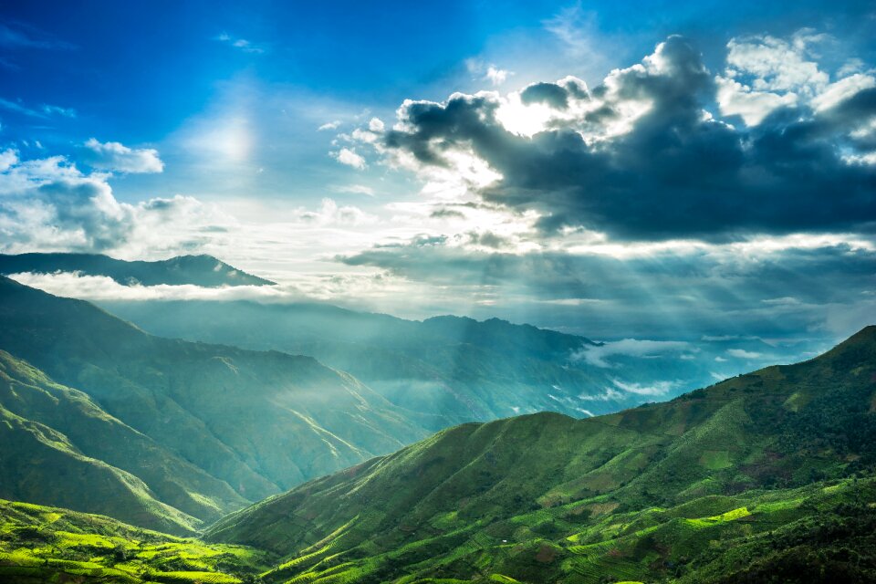 Mountain sunbeam