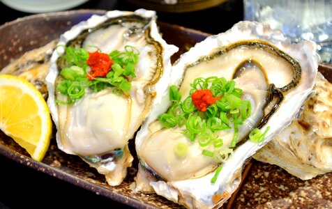 Oyster seafood photo
