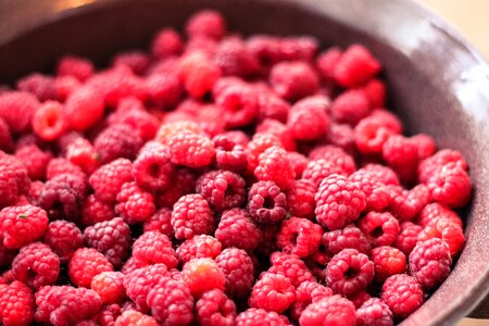 Raspberry fruit food photo