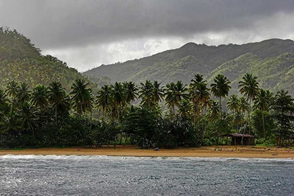 Tropical island beach caribbean island
