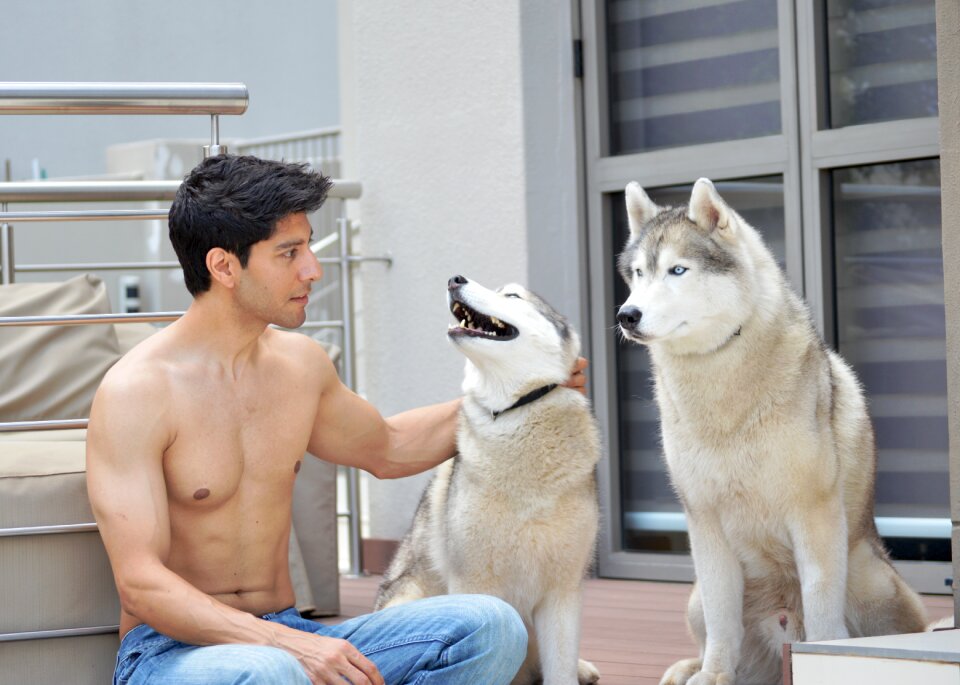 Siberian husky dog man