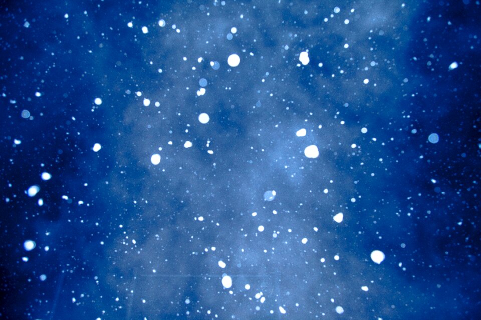 Snow night