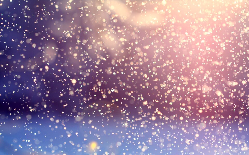 Snow winter