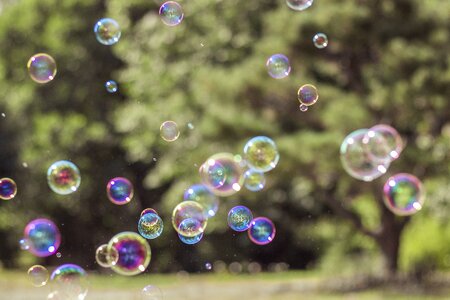Soap bubbles photo