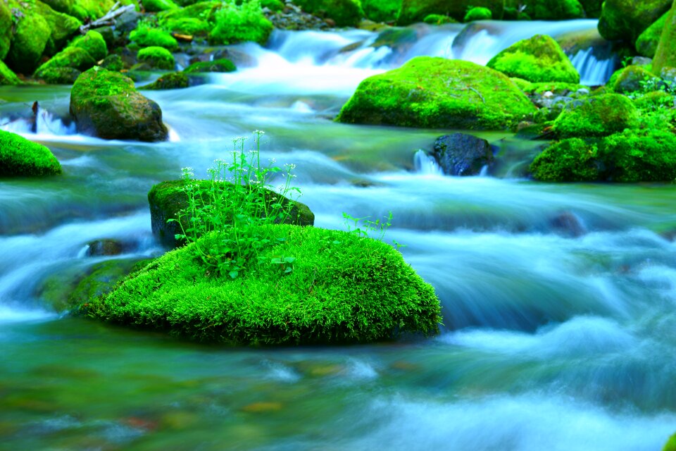 Stream rock river photo