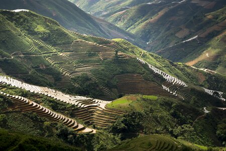 Terraced rice fields
