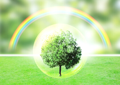 Tree rainbow ecology