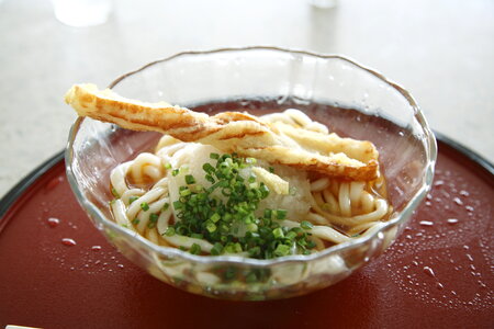 Udon noodle food photo