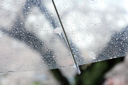 Umbrella rain photo