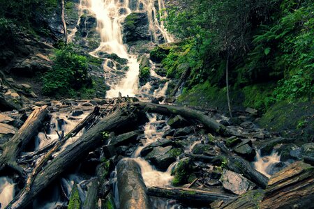 Waterfall fallen tree