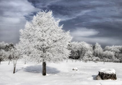 Winter snow