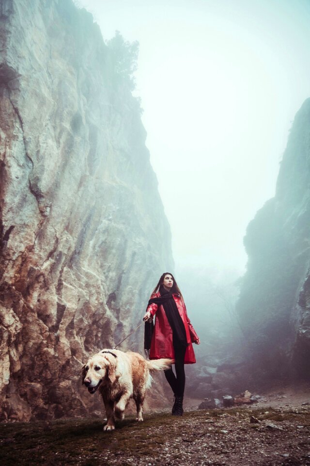 Woman dog fog