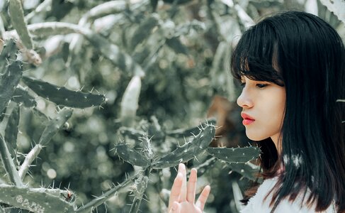 Woman girl portrait cactus